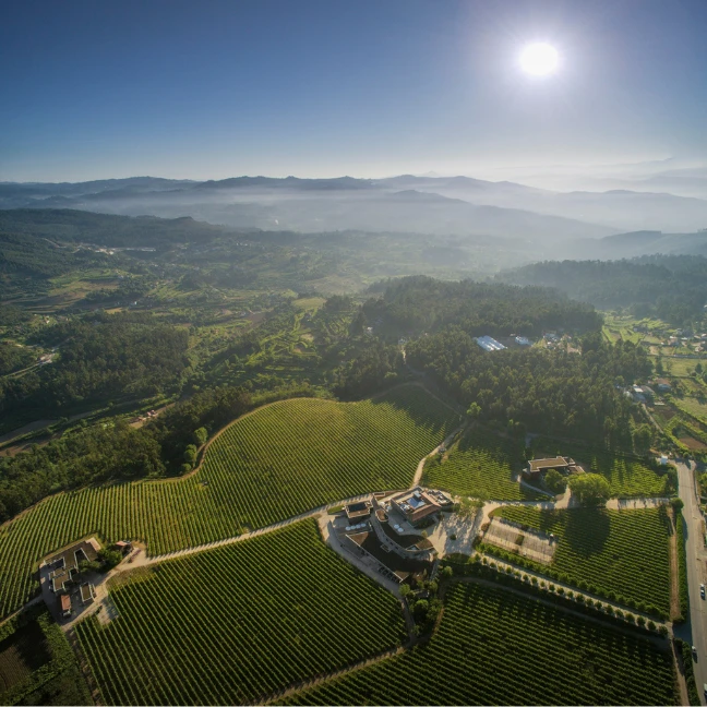 Hotel Monverde <span>Wine Experience Hotel</span>