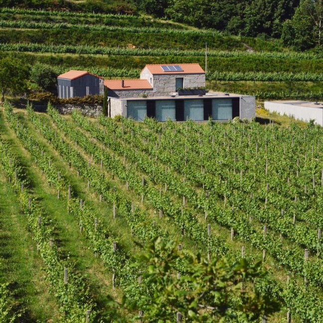 Quinta dos Encados - Atividades e Visitas