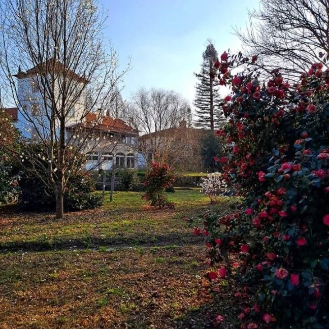 Quinta do Tamariz - Visitas e atividades