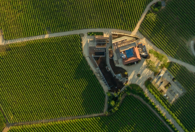 Monverde Wine Experience