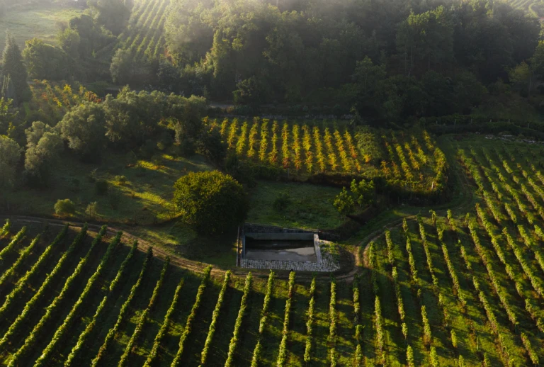 Barcos Wines - Adega Ponte da Barca e Arcos de Valdevez