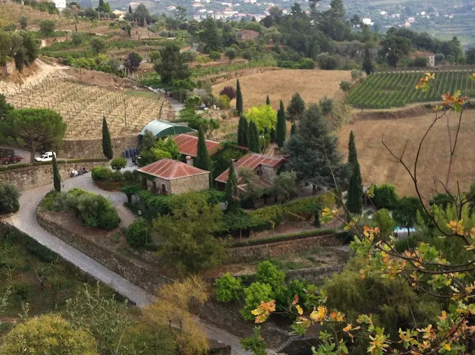 Quinta da Covela