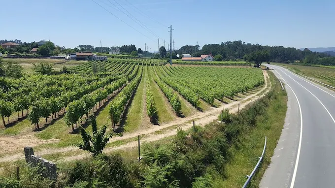 Quinta das Pereirinhas - Atividades e Visitas