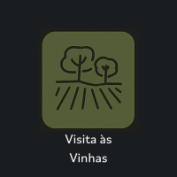 Visitas vinhas