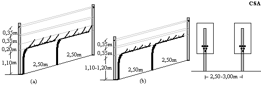 Cordão Simples Ascendente - CSA Cordão Simples Ascendente - CSA