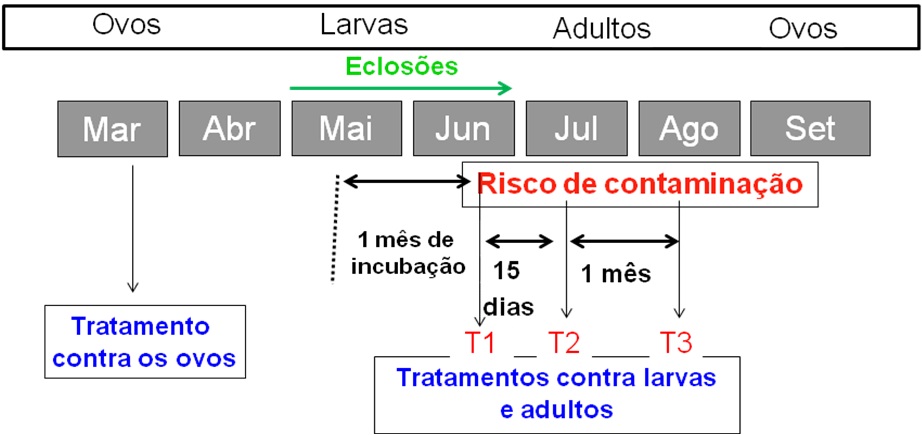 Sanidade da Videira - Doenças - Flavescência Dourada Sanidade da Videira - Doenças - Flavescência Dourada