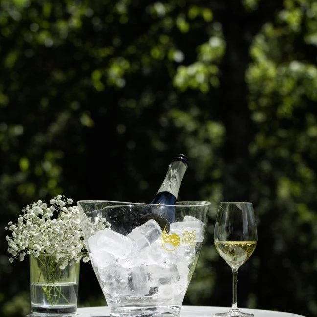 A Denomina&ccedil;&atilde;o de Origem Vinho Verde <span>pode ser atribu&iacute;da</span> a vinhos e espumantes, brancos, tintos e rosados, aguardentes v&iacute;nicas e bagaceiras e ainda a vinagre de vinho branco, tinto ou rosado.