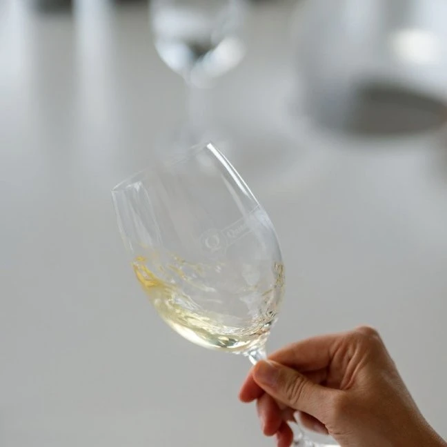Do mesmo modo, o vinho candidato &agrave; certifica&ccedil;&atilde;o <span>tem de estar conforme nas suas caracter&iacute;sticas f&iacute;sico-qu&iacute;micas</span> (analisadas em laborat&oacute;rio) e na sua qualidade (avaliada em c&acirc;mara de provadores profissional).