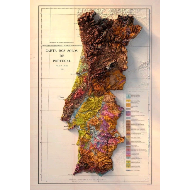 A geologia do solo regional <span>e o seu impacto</span> na produ&ccedil;&atilde;o da uva