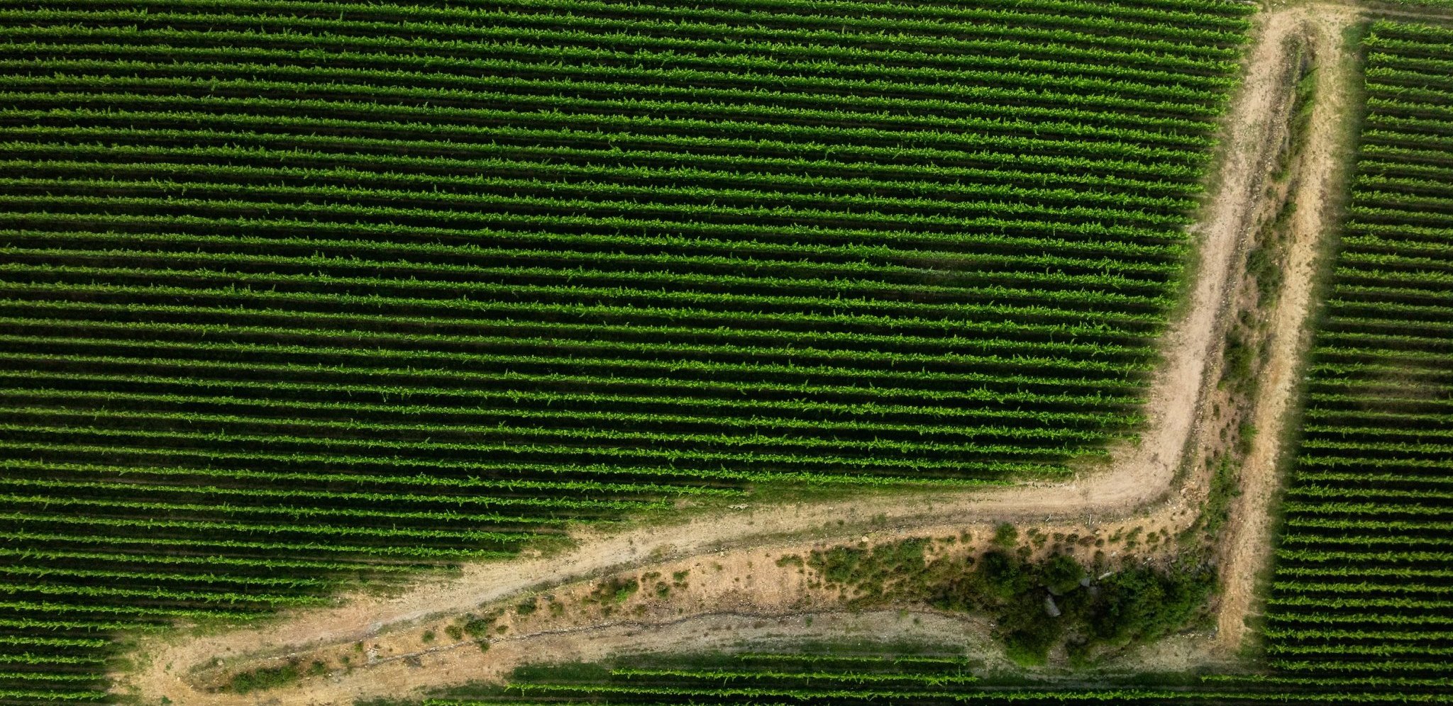 <span>Vinhos Verdes </span>representam uma das mais antigas Regiões vitivinícolas do mundo<br/><br/> <span>Vinhos Verdes </span>representam uma das mais antigas Regiões vitivinícolas do mundo<br/><br/>