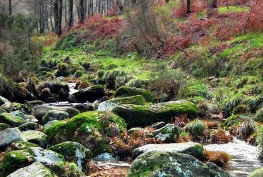 Serra D Arga