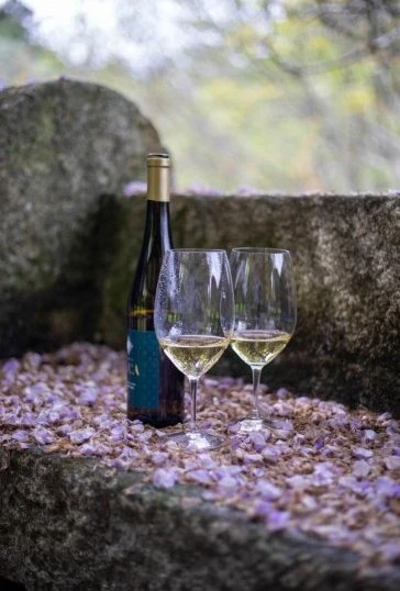 Vinhos Verdes com est&aacute;gio